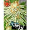 SHARK HAZE * PURE SEEDS   5  SEMI FEM