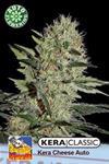 CRAZY MOUSE  AUTO ( EX KERA CHEESE AUTO) * KERA SEEDS AUTO  5 SEMI FEM