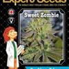 SWEET ZOMBIE * EXPERT SEEDS  3 SEMI FEM 