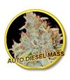 AUTO DIESEL MASS * MR HIDE SEEDS - 3 SEMI  FEM