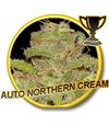 AUTO NORTHERN CREAM * MR HIDE SEEDS - 25 SEMI  FEM