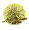 MR. SUGAR LEMON HAZE * MR HIDE SEEDS - 3 SEMI  FEM