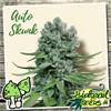 AUTO SKUNK  * BIOLOGICAL SEEDS  1 SEME