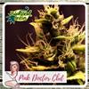 PINK DOCTOR CBD * BIOLOGICAL SEEDS  1 SEME