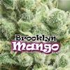 BROOKLYN MANGO * DR UNDERGROUND 2 SEMI FEM 