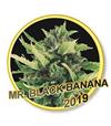 MR. BLACK BANANA * MR HIDE SEEDS - 50 SEMI FEM