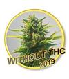 WITHOUT THC CBD * MR HIDE SEEDS - 1 SEME FEM