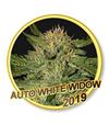 AUTO WHITE WIDOW * MR HIDE SEEDS - 3 SEMI FEM