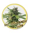 MR SOUR-R * MR HIDE SEEDS USA STRAINS - 15 SEMI REG