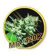 MR 420K * MR HIDE SEEDS USA STRAINS - 50 SEMI FEM