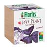 FLORTIS PLANTCUBE LOVE PLANT