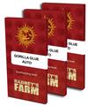 GORILLA GLUE AUTO * BARNEY'S FARM - 3 SEMI FEM
