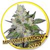 MR WHITE WIDOW + * MR HIDE SEEDS - 25 SEMI FEM