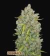 BUBBLEGUM AUTO * FAST BUDS SEEDS - 3 SEMI FEM