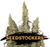 WHITE WIDOW AUTO  * SEEDSTOCKERS CLASSIC  3 SEMI FEM