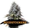 SOUR DIESEL * SEEDSTOCKERS - 1 SEME FEM