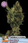 KERA CALIFORNIA  CHERRY GRAPEFRUIT * KERA SEEDS  5 SEMI FEM