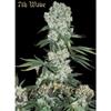 7th WAVE  * SUPER STRAINS  SEEDS FEMINIZED   1 SEME 