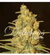 CRITICAL SENSI STAR * DELICIOUS SEEDS INDICA   1 SEME FEM