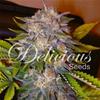 CARAMELO * DELICIOUS SEEDS SATIVA    1 SEME FEM