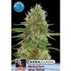 KERA MEDICAL WHITE WIDOW  * KERA SEEDS CLASSIC  3 SEMI FEM