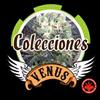 COLLECTION 3 * VENUS GENETICS  6 SEMI FEM