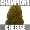 CHAMPIONS * HEAVYWEIGHT SEEDS  5 SEMI FEM